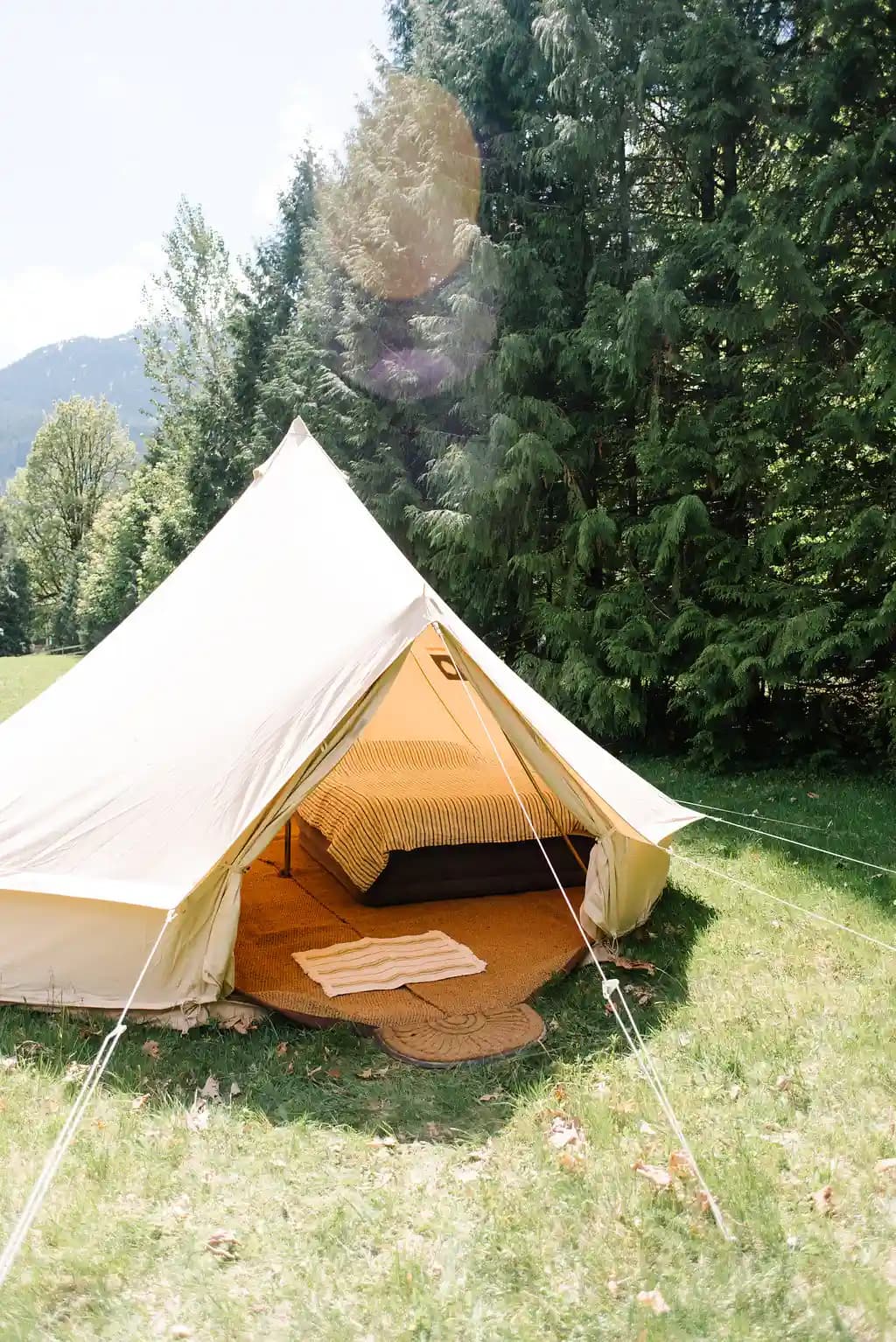 Tent in a forest clearing, sun shining through trees.