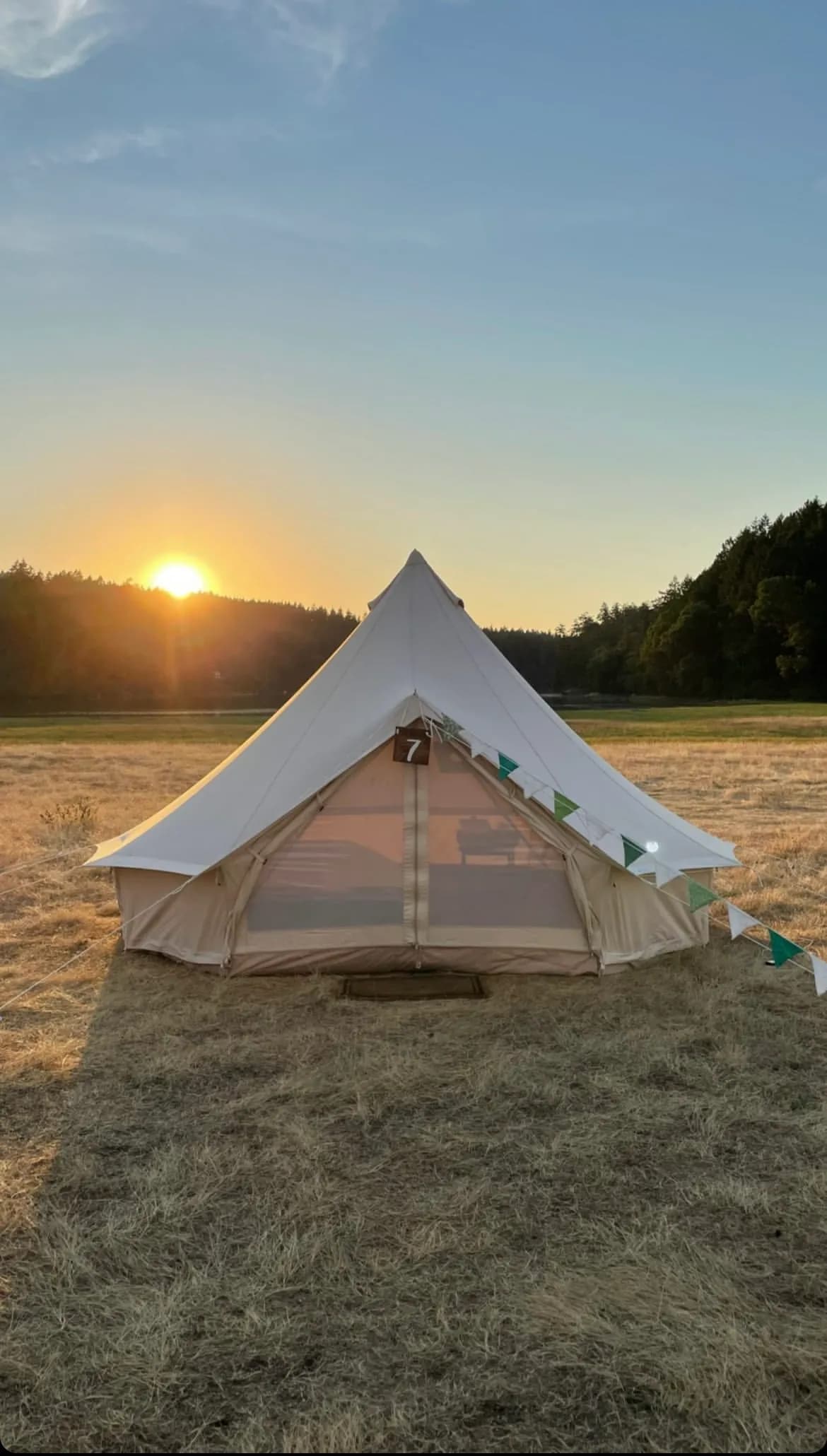 Tent in an open field at sunset with warm sky.