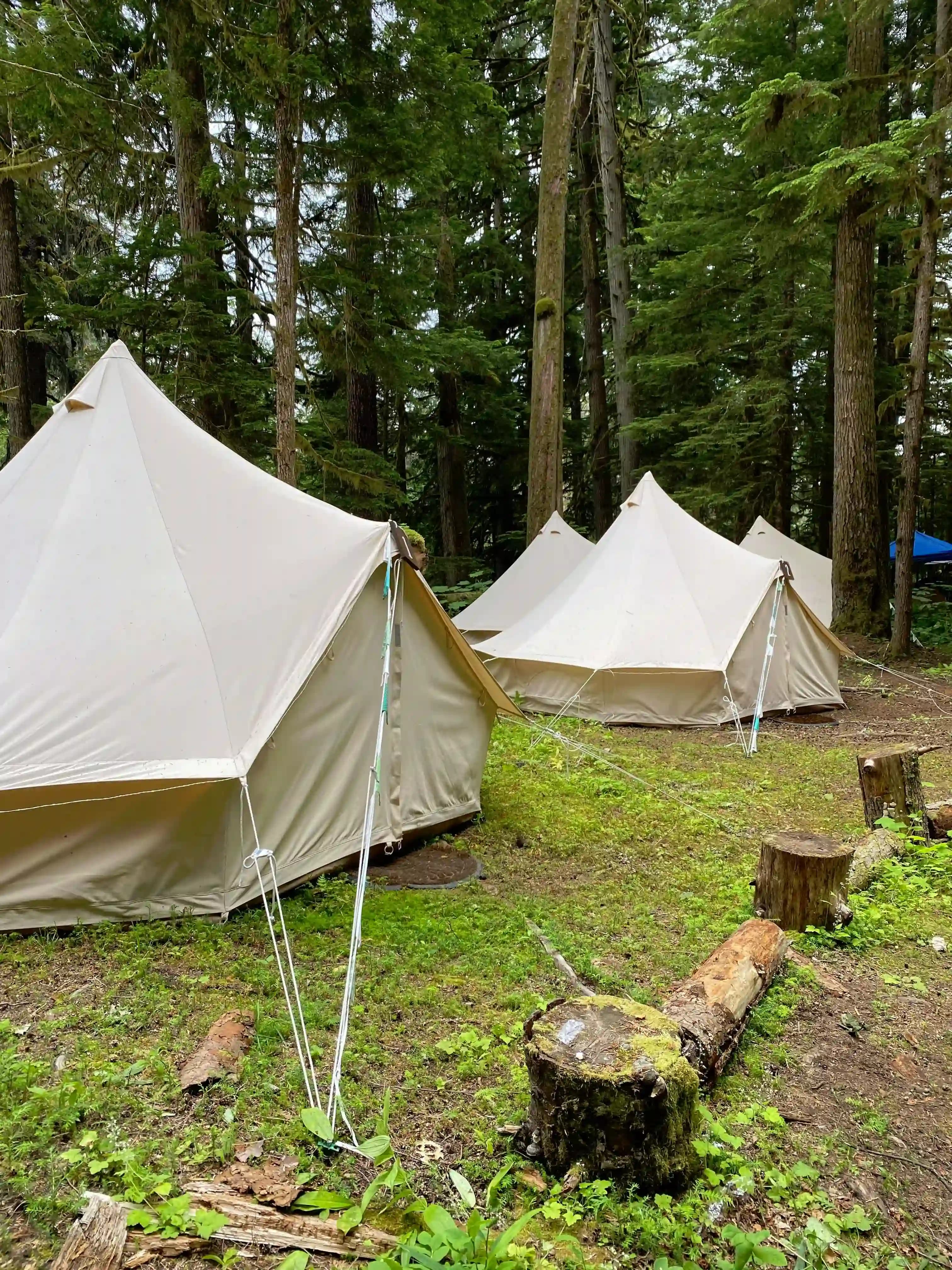 Interior of a tent with two beds and striped bedding.