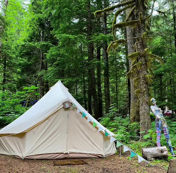 White canvas bell tents pitched in a lush forest.