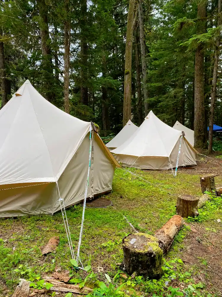 White canvas bell tents pitched in a lush forest.
