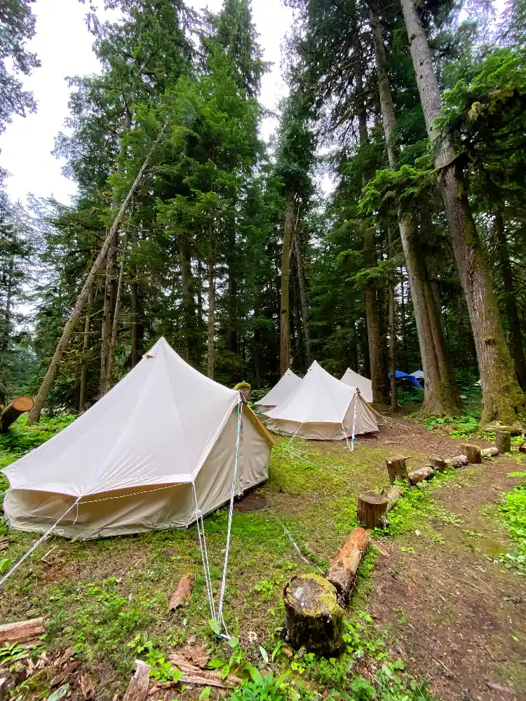 White canvas bell tents pitched in a lush forest.